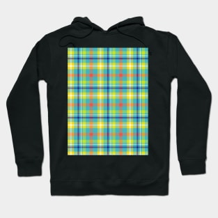 Colorful Plaid Pattern Art Hoodie